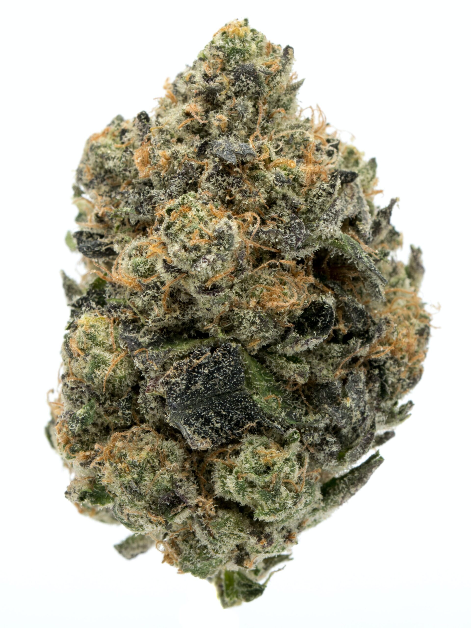 Girl Scout Cookies online Iceland